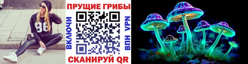 цены наркотик Алушта blacksprut сайт Псилоцибиновые грибы Psilocybe