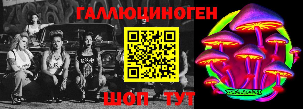 Псилоцибиновые грибы Psilocybine cubensis Алушта