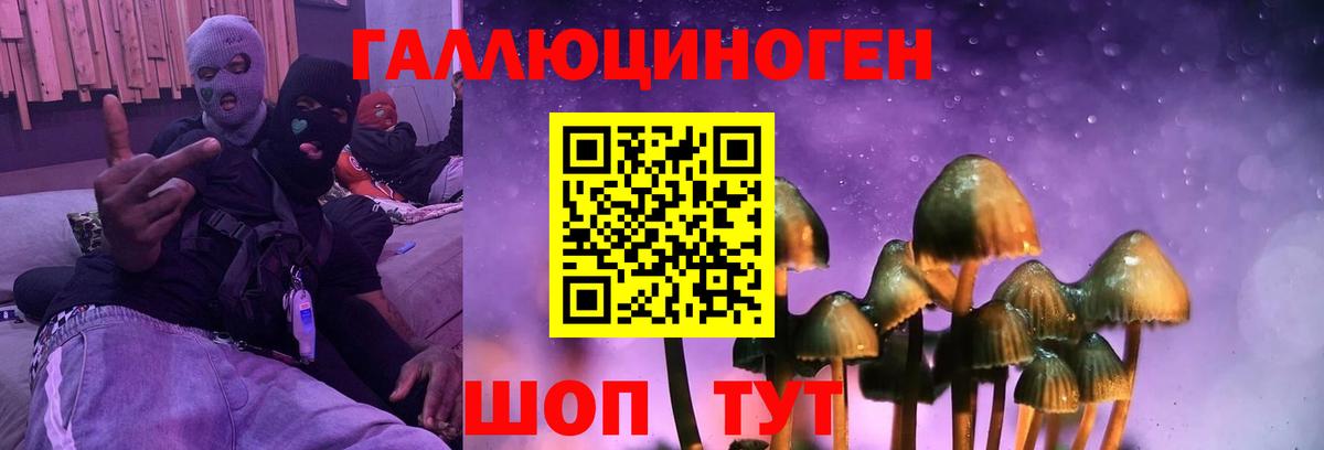 Галлюциногенные грибы GOLDEN TEACHER  Вход с VPN  как найти закладки  Алушта  Галлюциногенные грибы мухоморы 